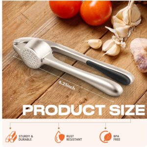 Silver Garlic Press Set with Peeler and Cleaning Brush - Image 3