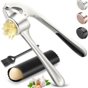 Silver Garlic Press Set with Peeler and Cleaning Brush